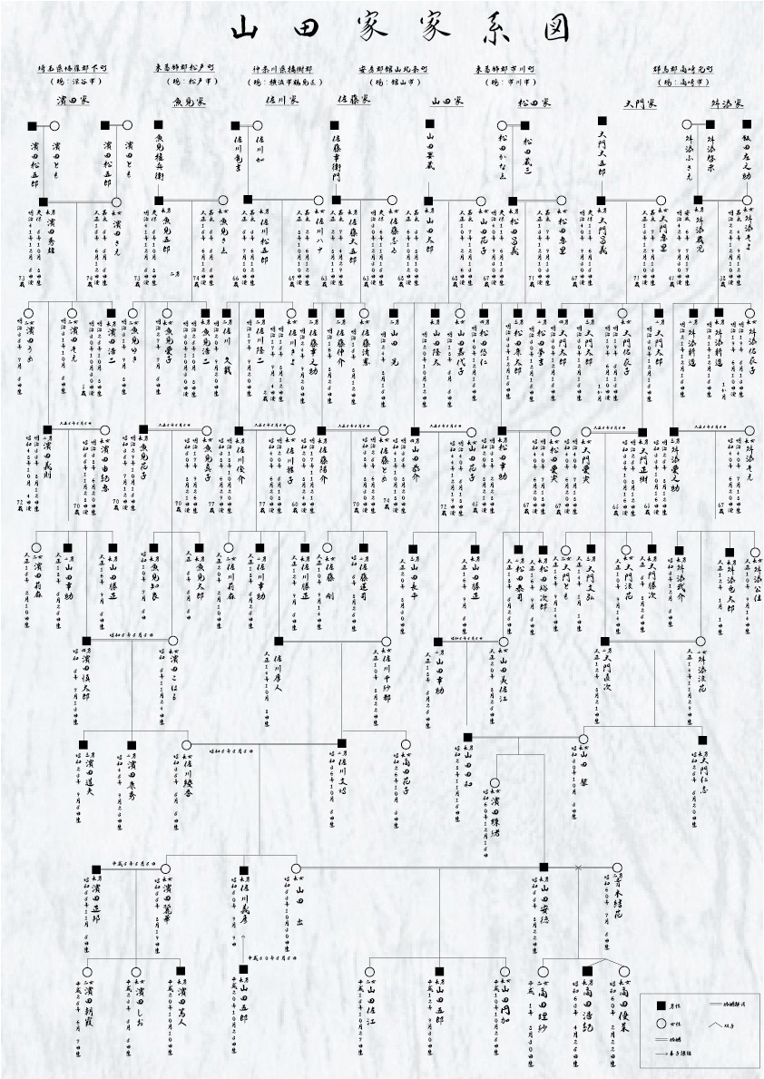 質の高い家系図とオプション